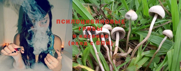 прущий лед Балахна