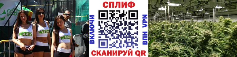 МЕГА вход Поворино Каннабис AK-47 наркота